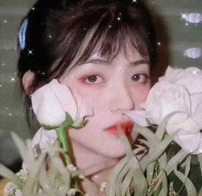 风流苏仙